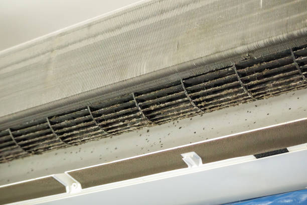 Best Home Air Vent Cleaning  in Manahawkin, NJ